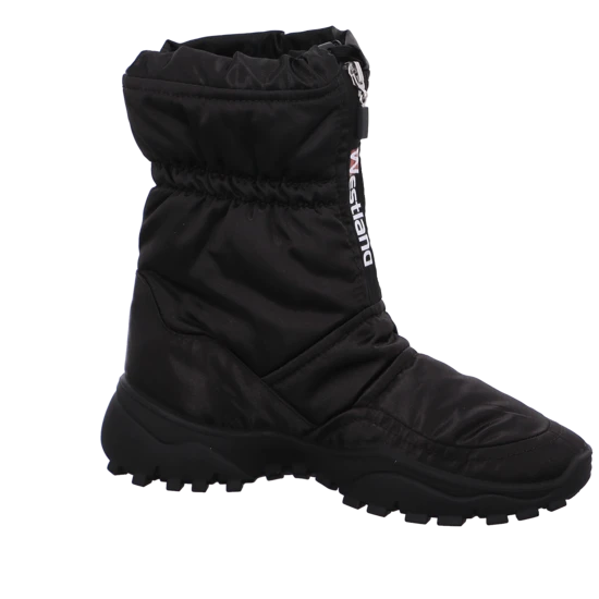 Westland Atlanta 118 8 Westland Atlanta 118 – Bild 6